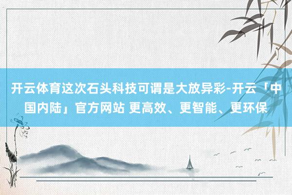 开云体育这次石头科技可谓是大放异彩-开云「中国内陆」官方网站 更高效、更智能、更环保
