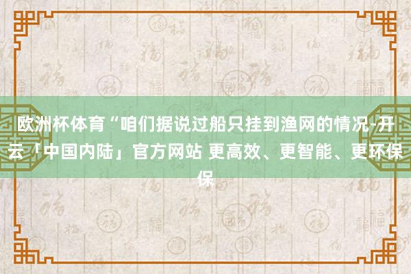 欧洲杯体育“咱们据说过船只挂到渔网的情况-开云「中国内陆」官方网站 更高效、更智能、更环保