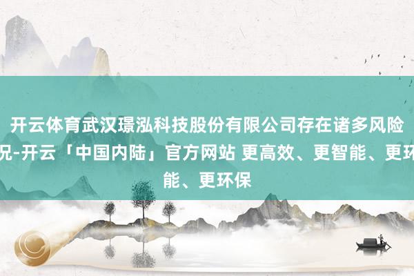 开云体育武汉璟泓科技股份有限公司存在诸多风险情况-开云「中国内陆」官方网站 更高效、更智能、更环保