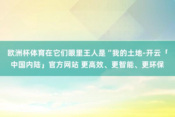 欧洲杯体育在它们眼里王人是“我的土地-开云「中国内陆」官方网站 更高效、更智能、更环保