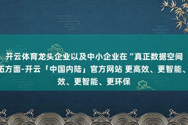 开云体育龙头企业以及中小企业在“真正数据空间”的开拓方面-开云「中国内陆」官方网站 更高效、更智能、更环保