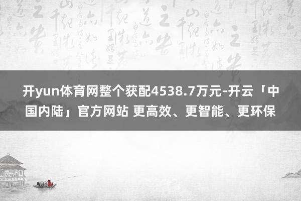 开yun体育网整个获配4538.7万元-开云「中国内陆」官方网站 更高效、更智能、更环保