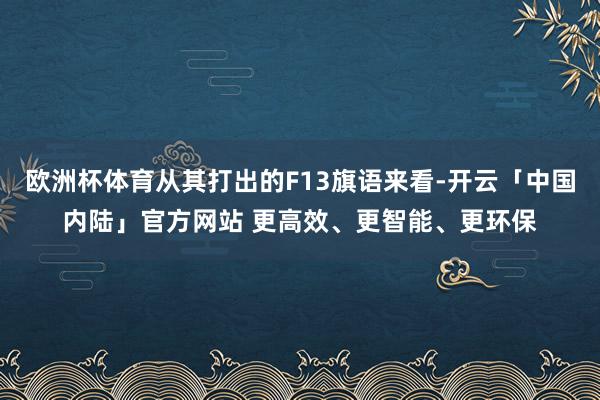 欧洲杯体育从其打出的F13旗语来看-开云「中国内陆」官方网站 更高效、更智能、更环保
