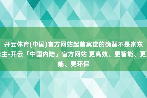 开云体育(中国)官方网站起首察觉的确凿不是家东说念主-开云「中国内陆」官方网站 更高效、更智能、更环保