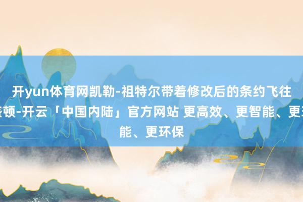 开yun体育网凯勒-祖特尔带着修改后的条约飞往华盛顿-开云「中国内陆」官方网站 更高效、更智能、更环保